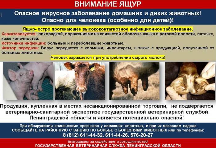 Управление ветеринарии Ленинградской области напоминает